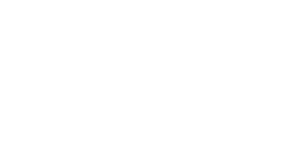 McMaster Logo